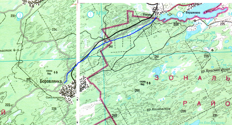 Боровлянка курганская область карта