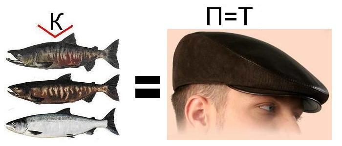 podskazka2.JPG
