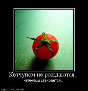 339870_ketchupom-ne-rozhdayutsya.thumbnail.jpg