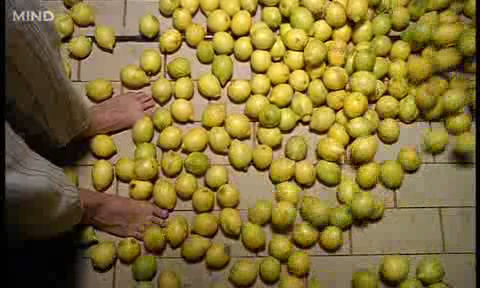 snapshot20101112210128.jpg